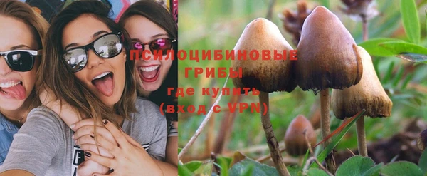 spice Липки