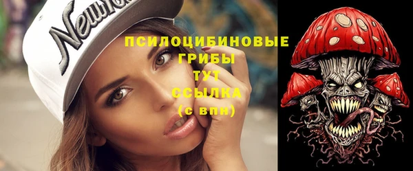 Альфа ПВП Лиски