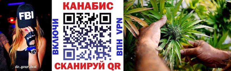 Конопля сатива  где найти наркотики  Циолковский 
